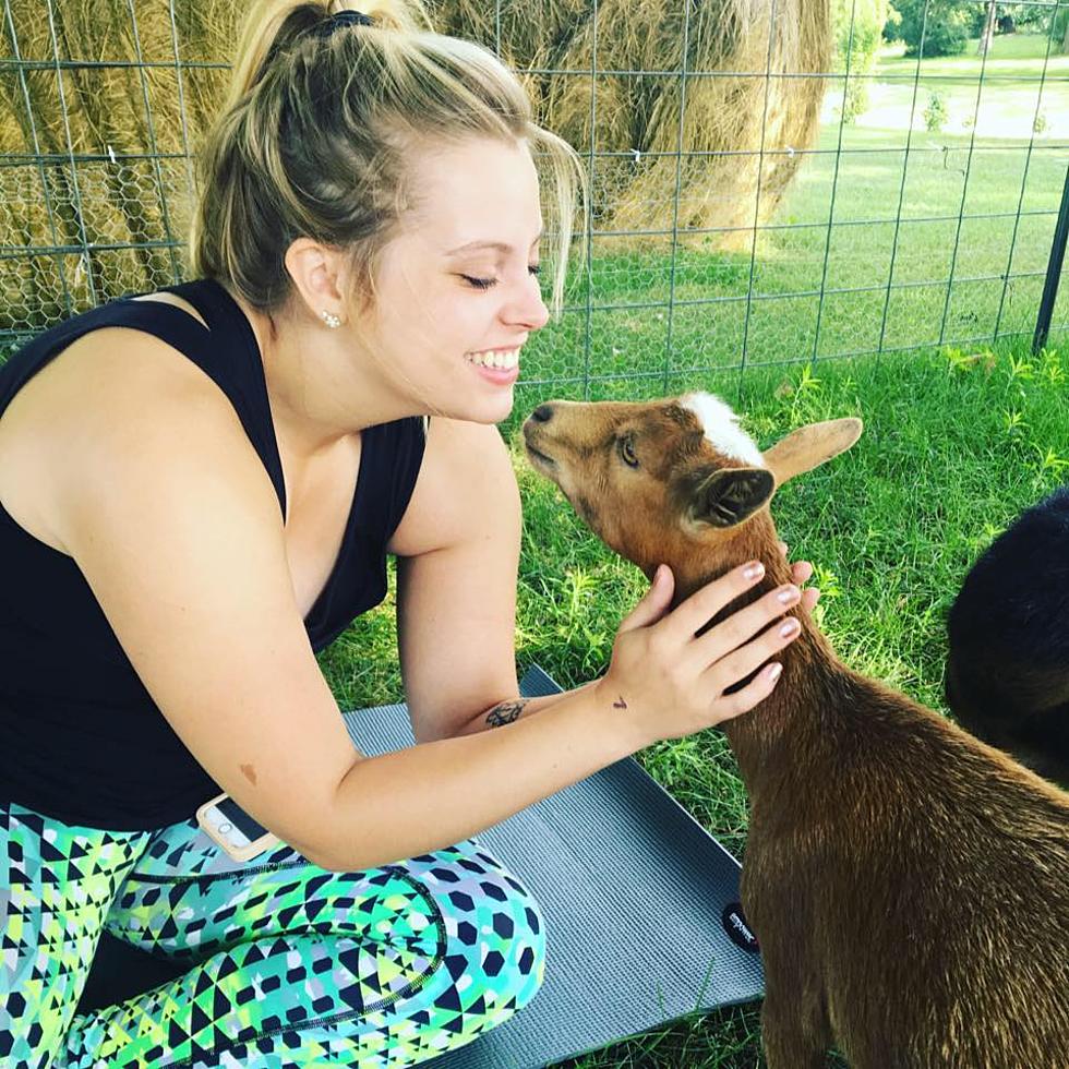 Places in Eastern Iowa to do Goat Yoga, Llama Yoga, and More