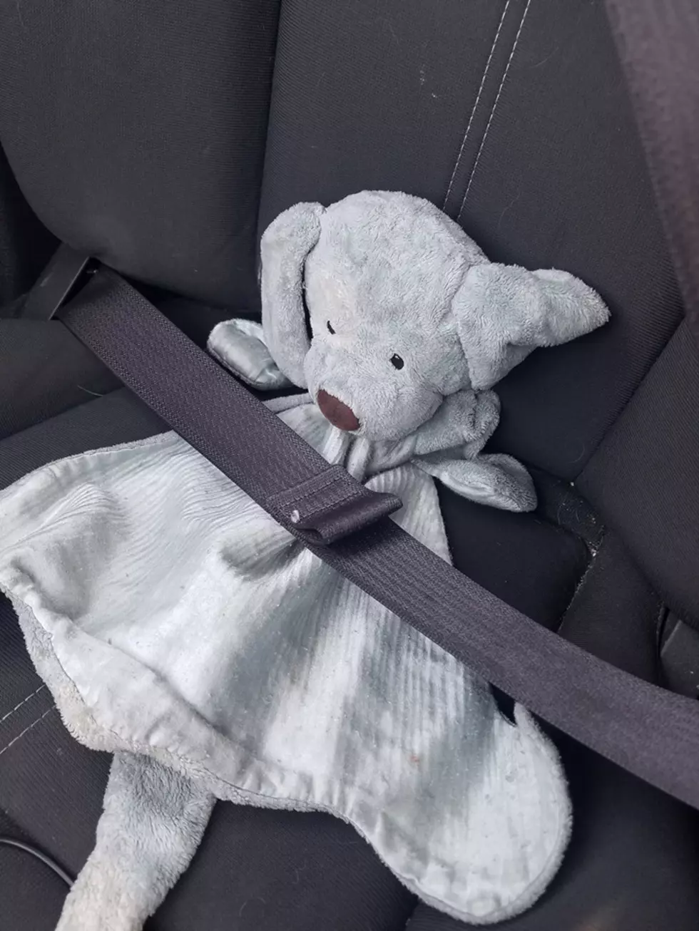 Lost Stuffed Animal &#8216;George&#8217; Has Found His Family [PHOTOS]