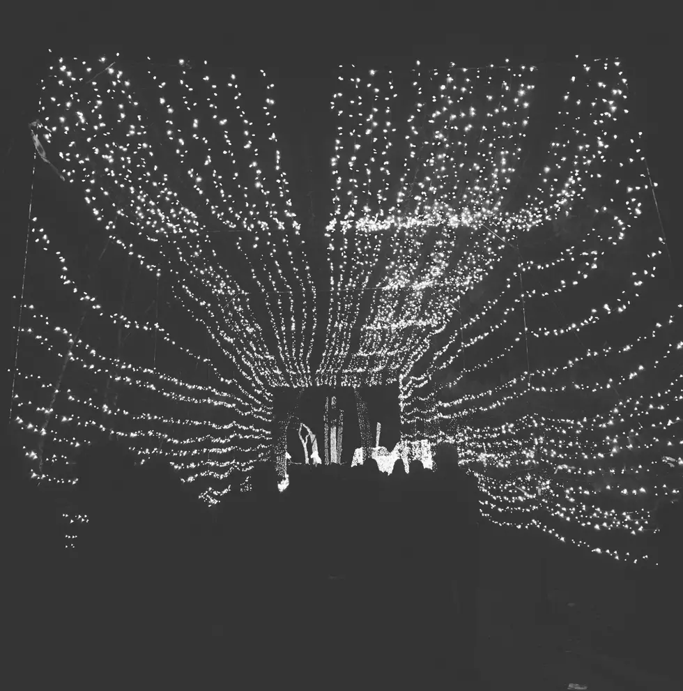 Courtlin Saw 5 Million X-Mas Lights in Michigan This Weekend