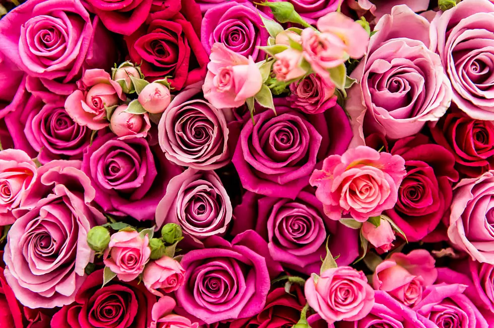 The ROSE is the Internet’s Next Big Brain Teaser