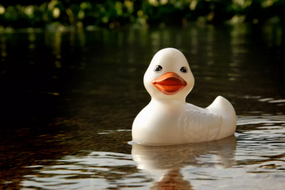 Giant Inflatable Duck Rolls Through The Streets of Iowa [VIDEO]