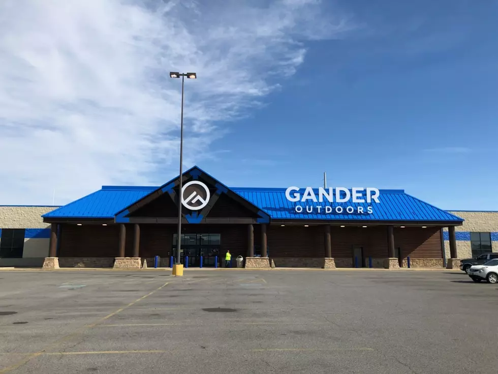 The &#8216;Gander&#8217; Brand Returns To Cedar Rapids