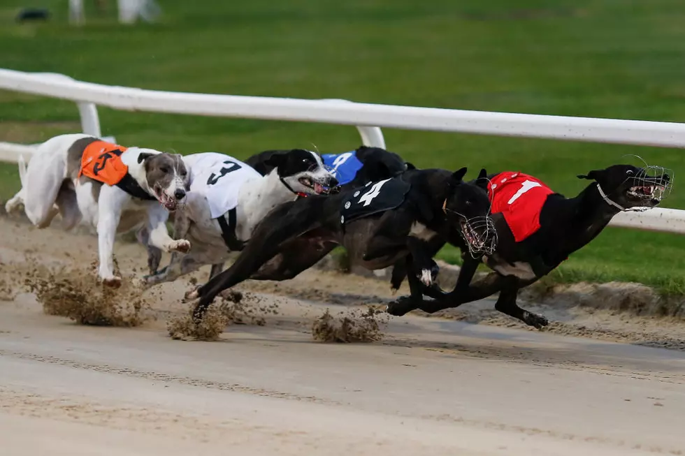 Florida Vote Could Impact Dubuque Dog Track