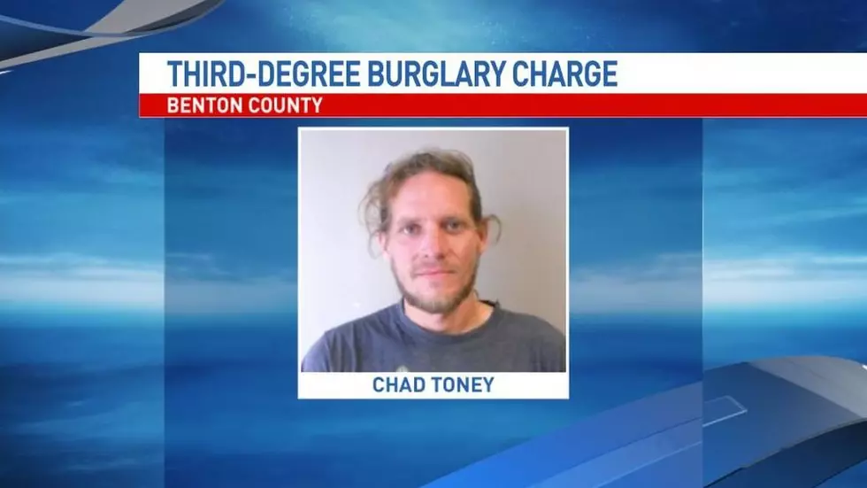 Man Arrested, Will Face Animal Abuse Charges in Cat&#8217;s Theft and Torture [VIDEO]