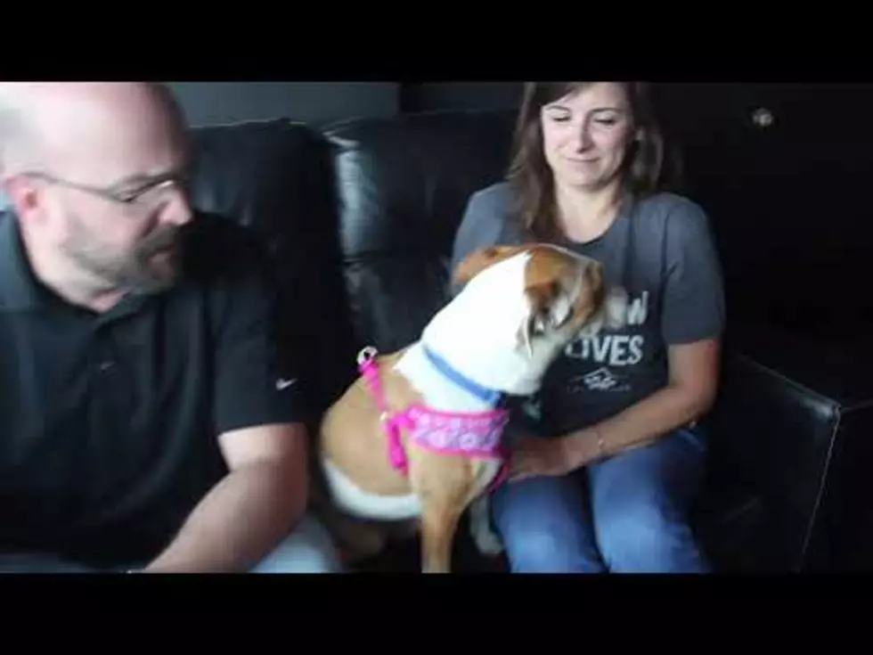 Erin Would Love To Be Your New Couch Buddy! [VIDEO]