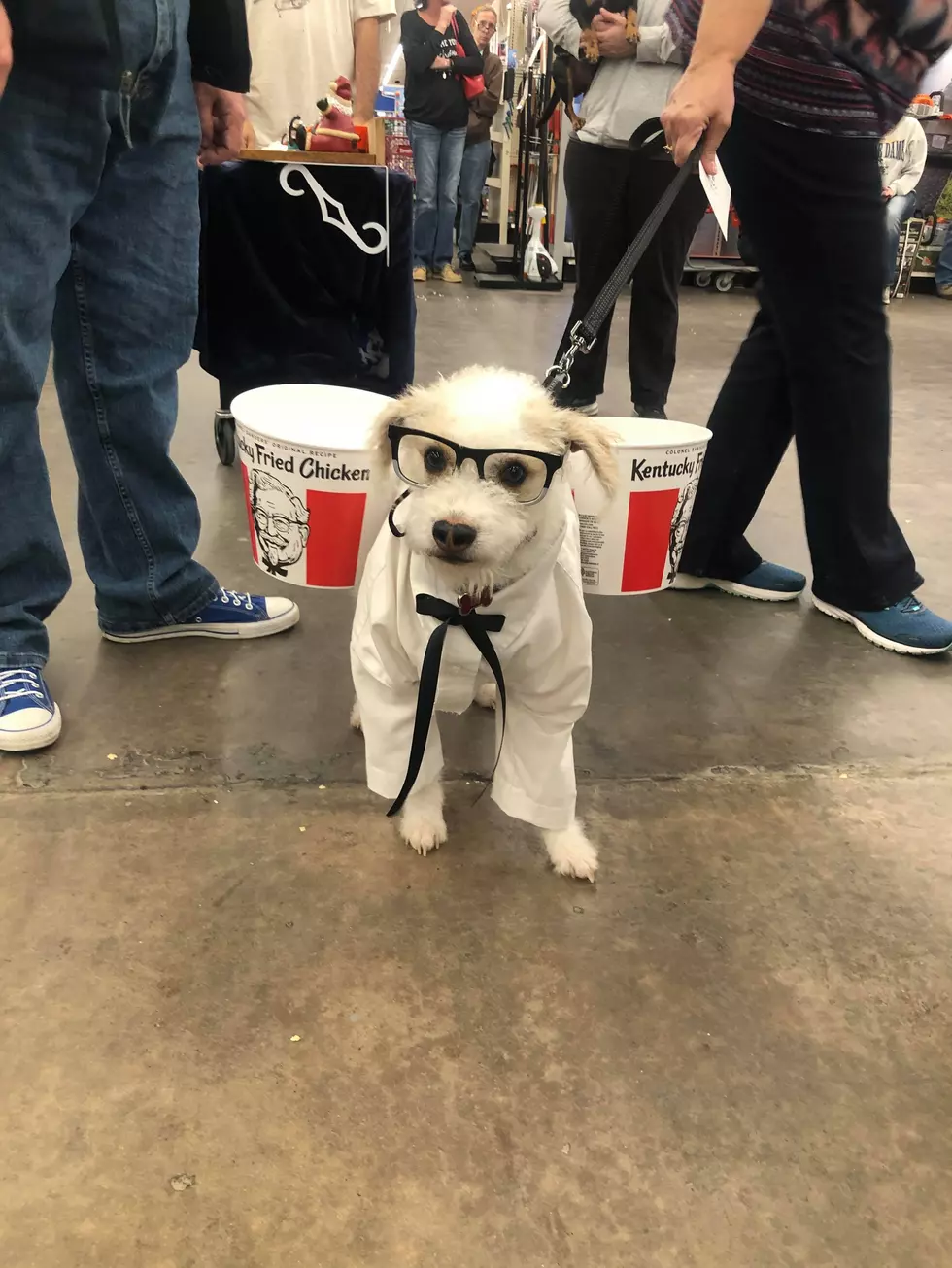 Here are the 2019 Theisen&#8217;s Dog-O-Ween Winners [PHOTOS]