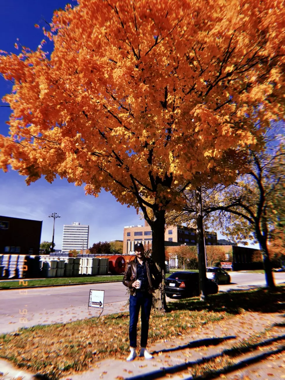 Cedar Rapids Foliage