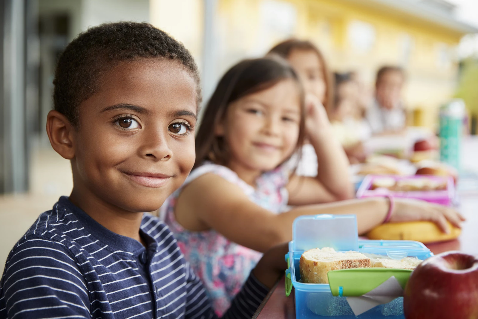 Federal Universal Free School Lunch Program to End this Summer