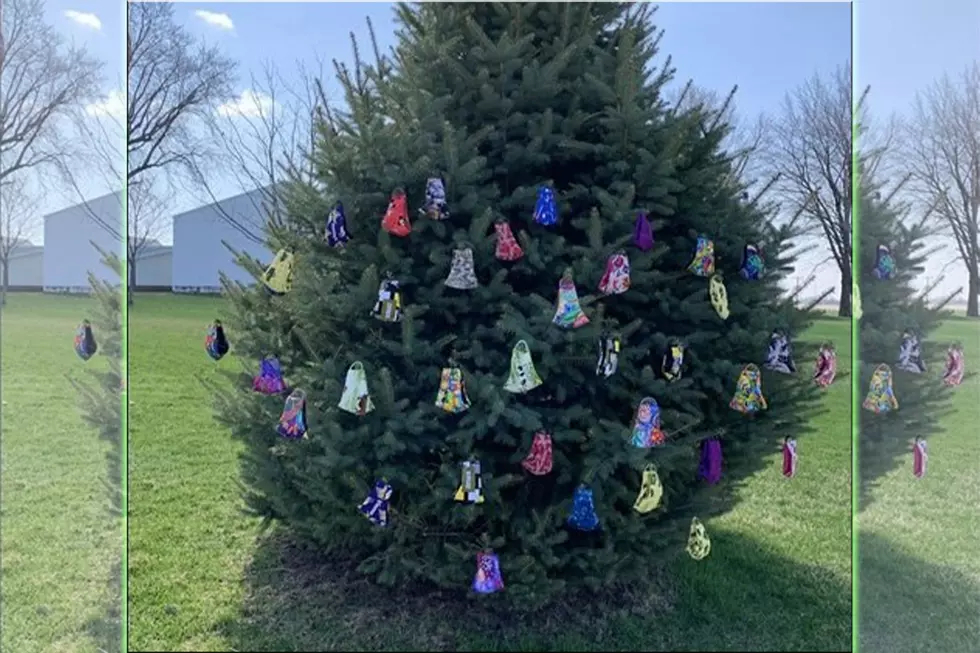 Lisbon Woman's Homemade Masks Hang on Tree For Anyone Who Needs