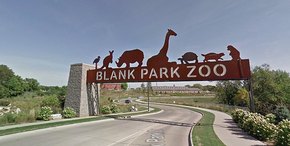 A Giraffe at Blank Park Zoo Has Died