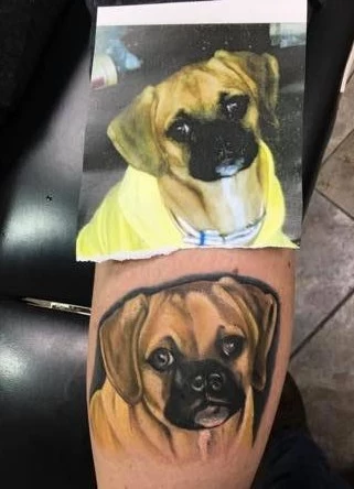Pug portrait | Portrait tattoo, Tattoos, Pug tattoo