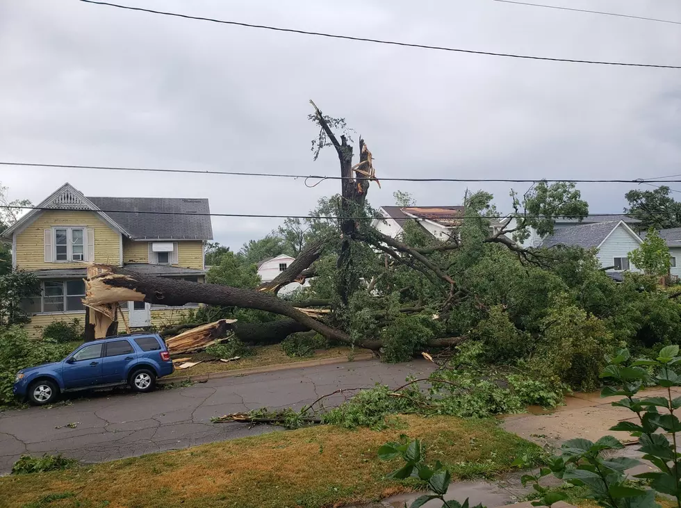 Cedar Rapids and Marion Lose Half Of Tree Canopy