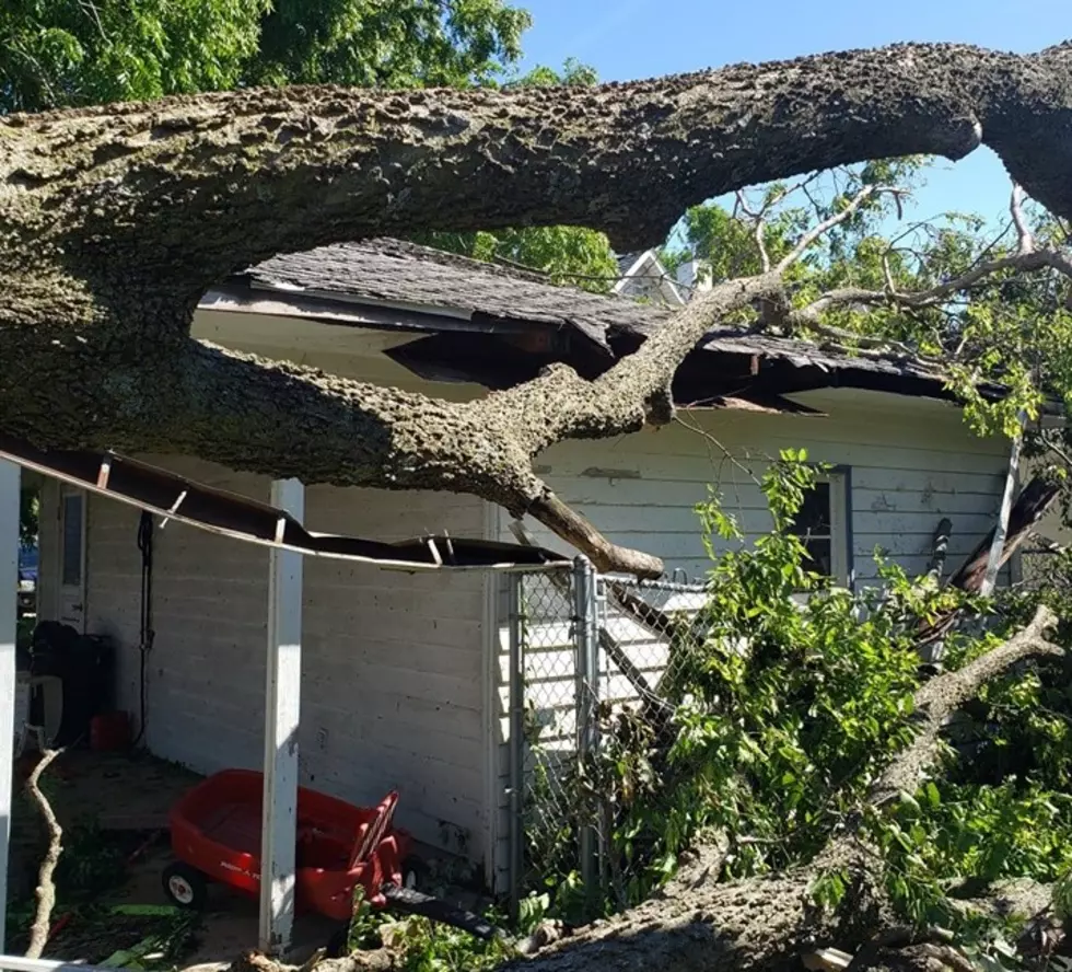 Marion Mayor ‘Heartbroken’ Over Derecho Damage