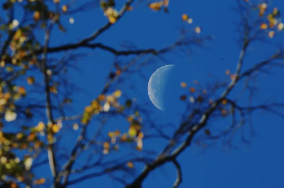 Rare Blue Moon Will Illuminate the Sky This Halloween