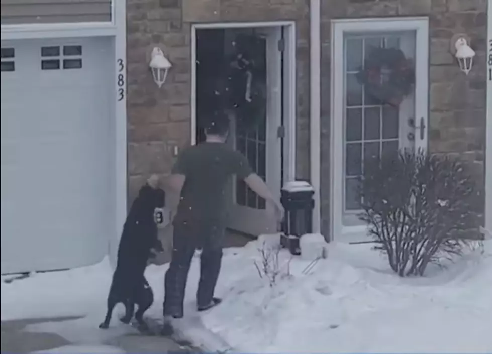 [UPDATED] Iowa Dog Being Surrendered Back To Breeder