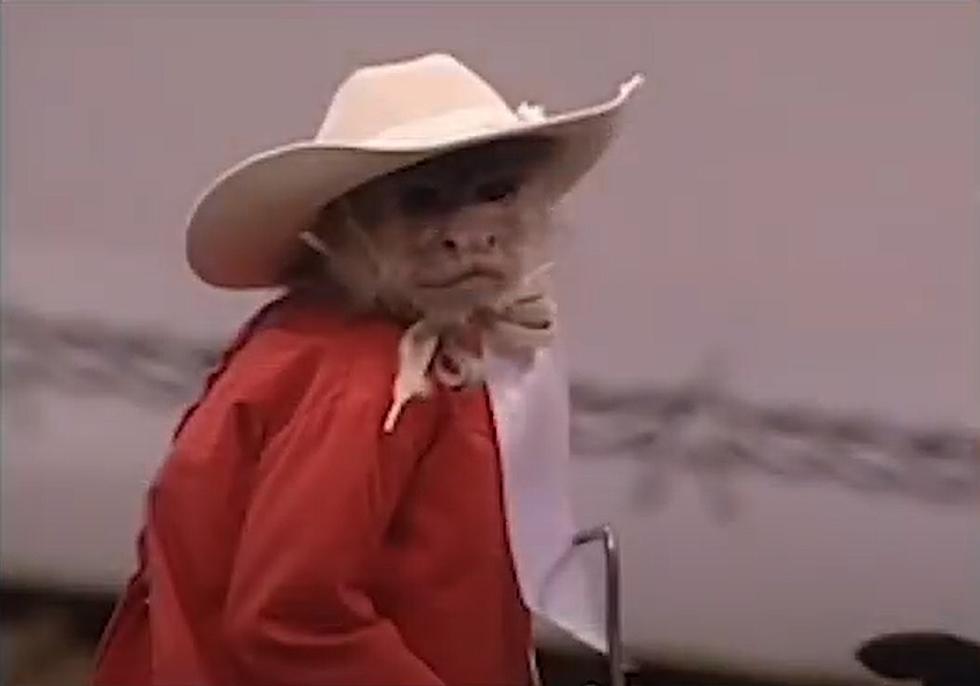 Win World’s Toughest Rodeo Tickets & Meet Whiplash, The Cowboy Monkey