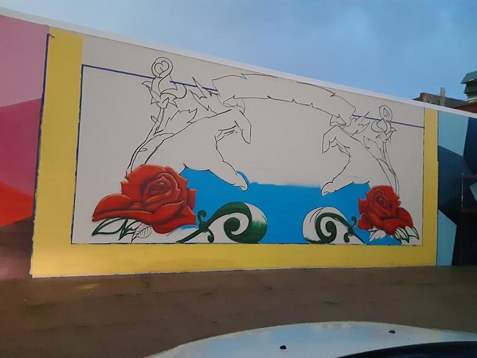 Incredible New Cedar Rapids Mural Now Complete [PHOTOS]