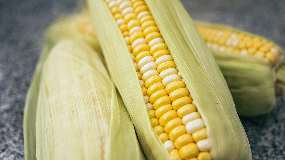 Iowa Grown Sweet Corn Will Be Hard to Find This 4th of July