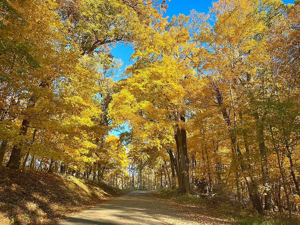 The Most Beautiful Places to Enjoy the Fall Colors in Iowa