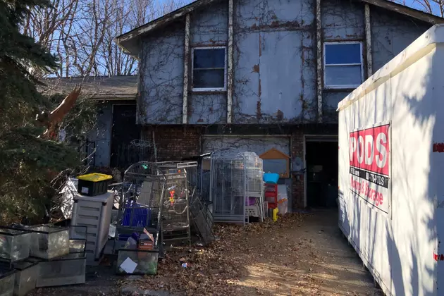 Over 500 Exotic Animals Were Removed From a Nebraska Home