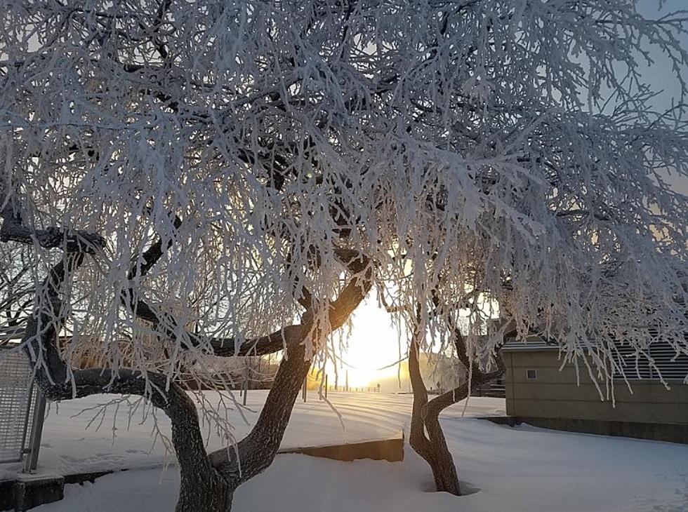 A Look Back at the Coldest Morning in Cedar Rapids History [PICS]