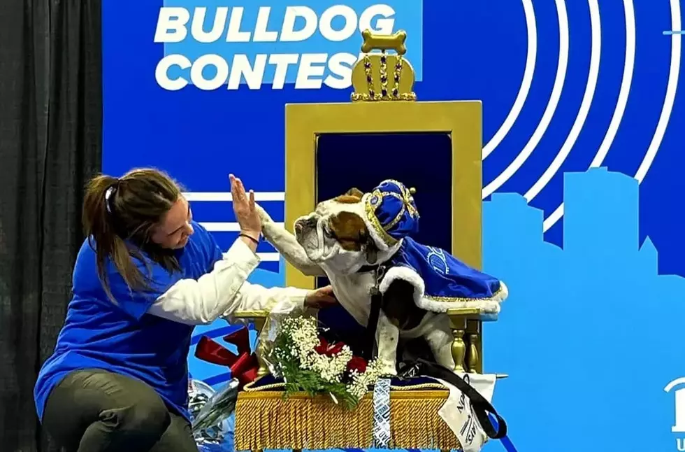 Meet the Winner of Drake University’s Beautiful Bulldog Contest
