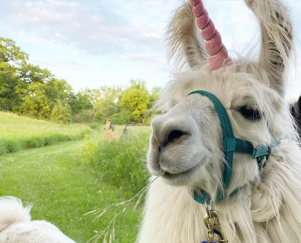 A Cedar Rapids Farm Was Featured in People Magazine [PHOTOS]