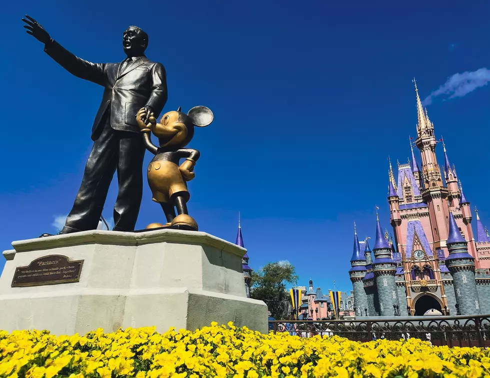 Is A Disney Vacation Still Affordable For The Average Iowa Family?