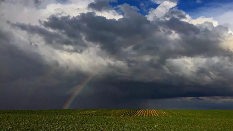 Iowa is the Best State if You Want to Live ‘Off the Grid’