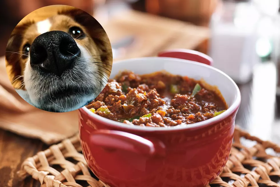 Eat a Bunch of Chili While Supporting a Cedar Rapids Animal Rescue