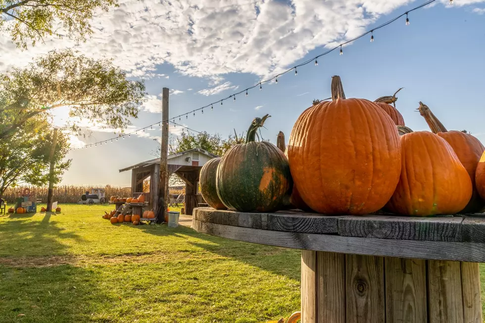 Fun Places in Iowa to Check Out With the Family This Fall [GALLERY]