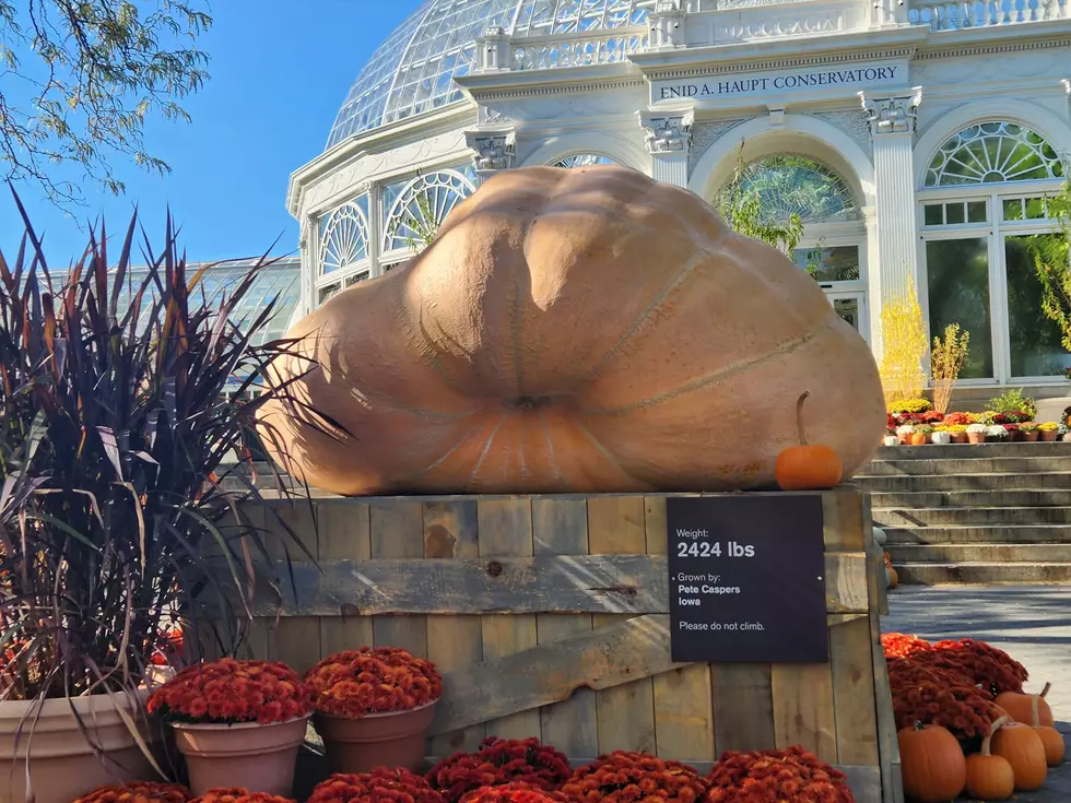 A 2,000+ Pound Iowa Pumpkin Was Carved into an Incredible Dragon