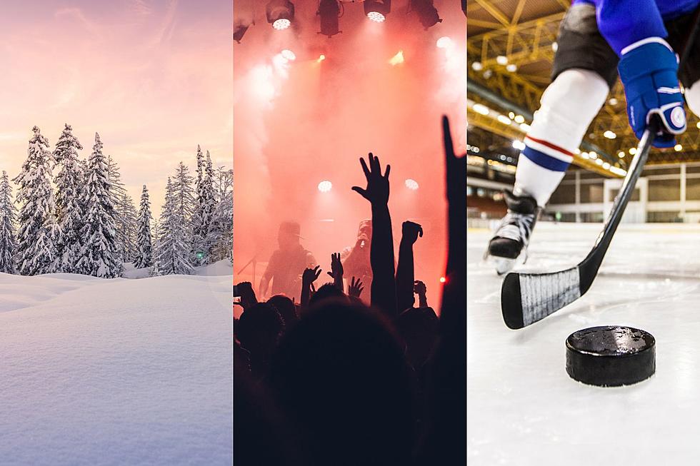 Festivals, Hockey & Concerts — January Eastern Iowa Events