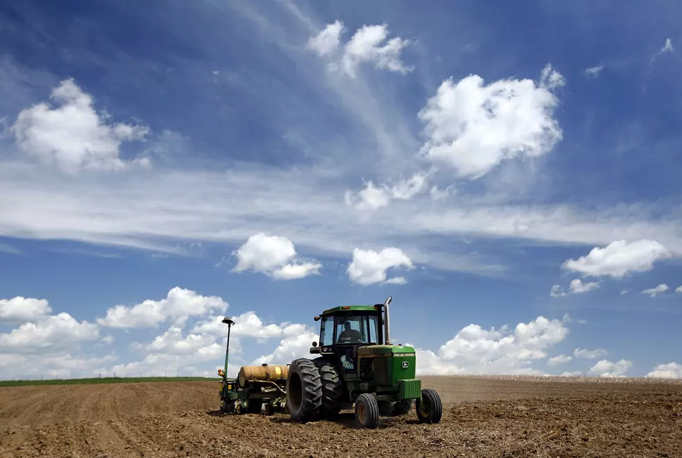Farmers Plant Corn To Take Advantage Of Prices Driven Up By Ethanol