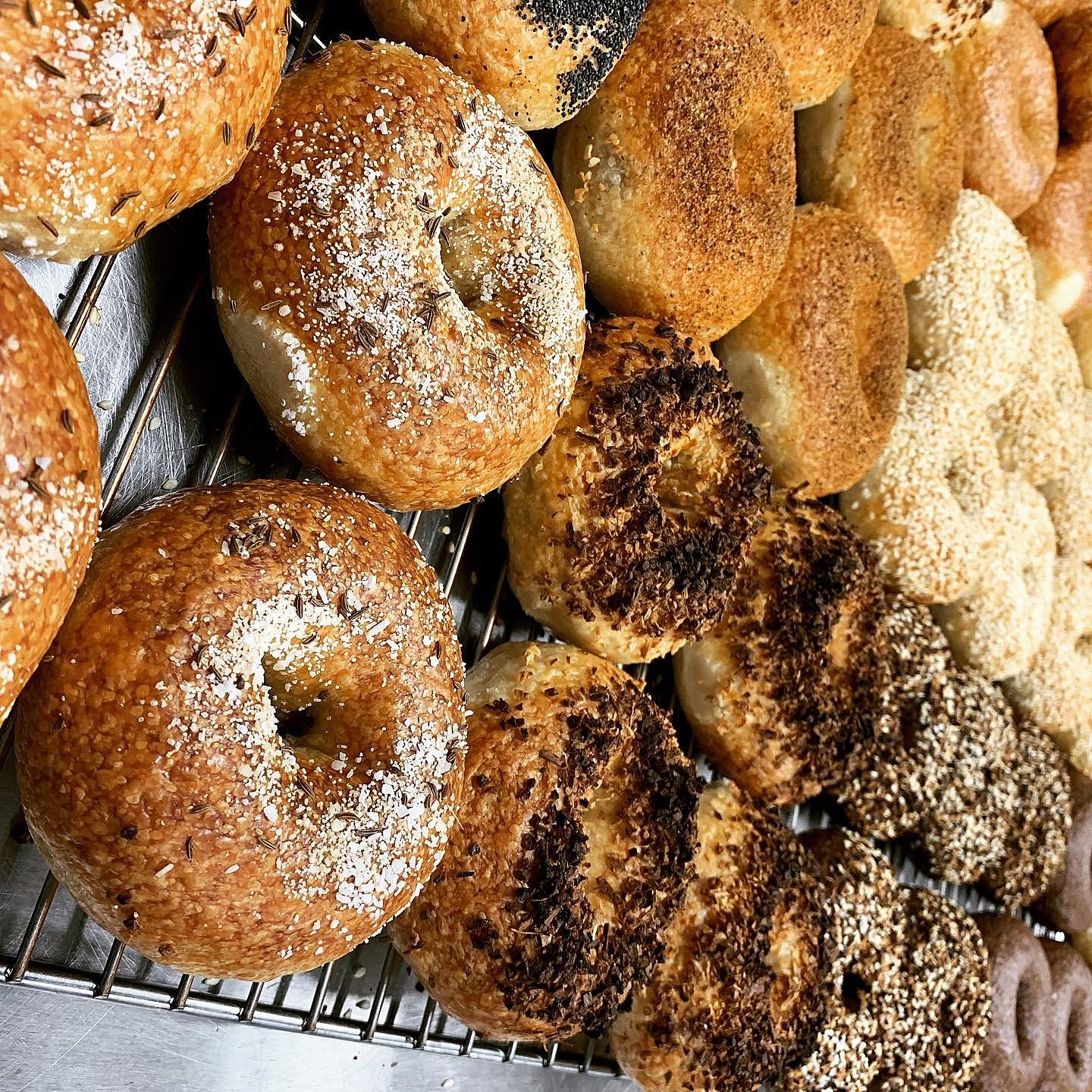 An East Coast Bagel Shop is Going to Be Visiting Cedar Rapids