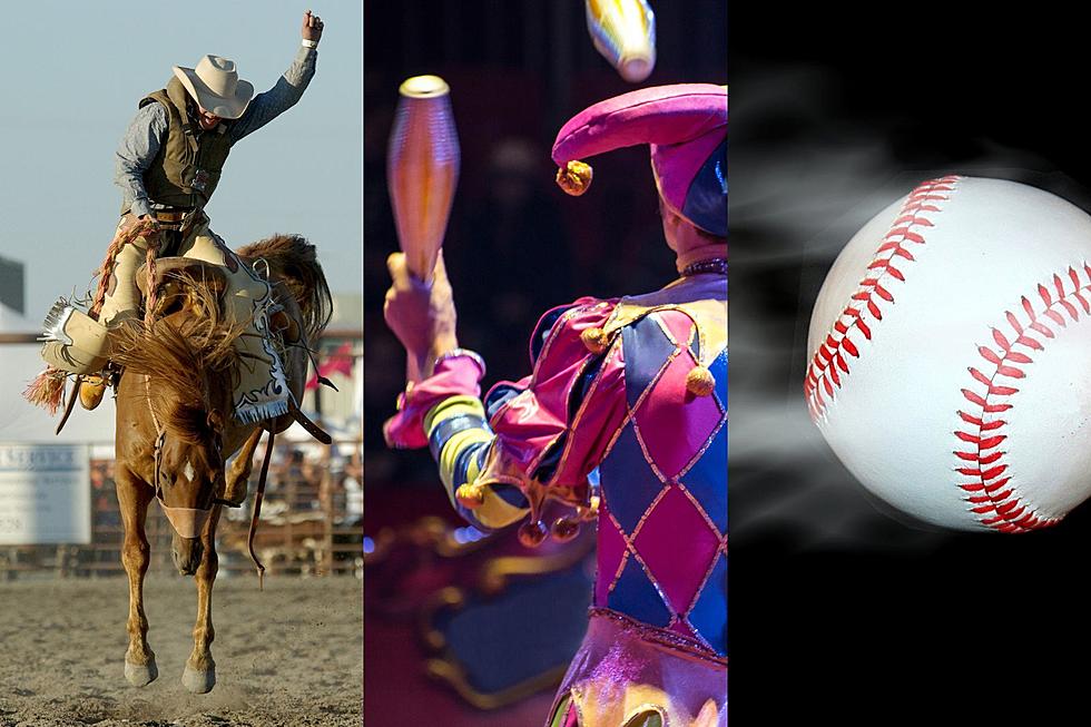 Baseball, Shows, & Festivals — Eastern Iowa April Events [LIST]