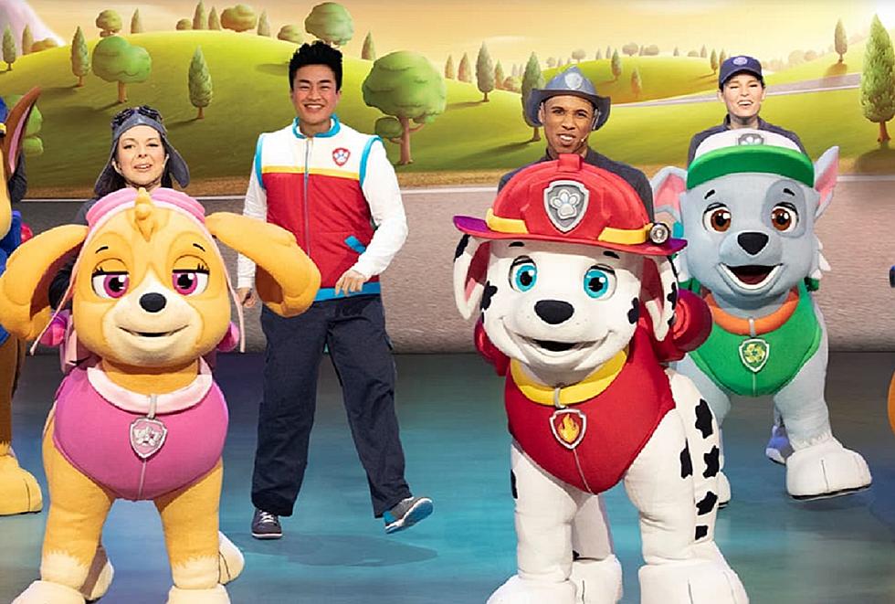 Paw Patrol Live! Heroes Unite