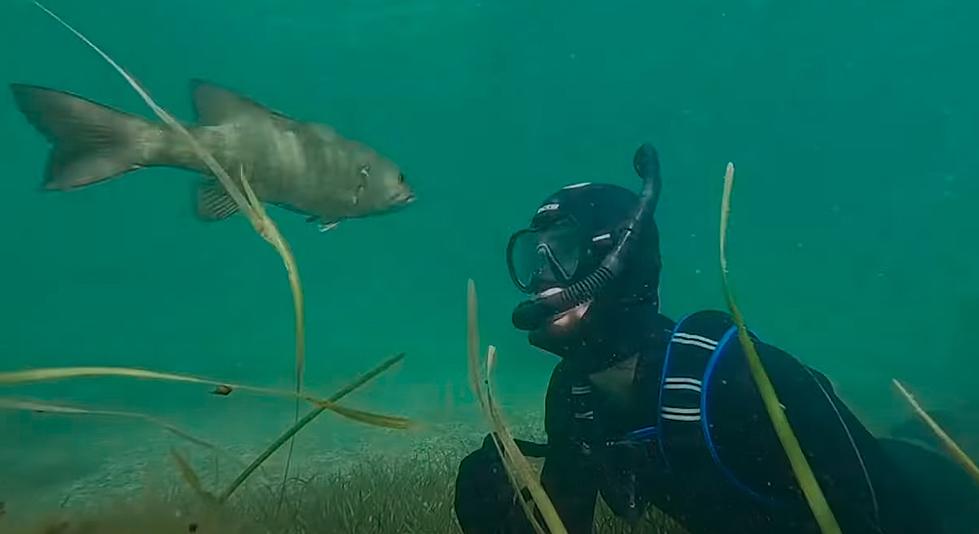 Midwest Man Becomes Best Friends With A Fish [VIDEO]