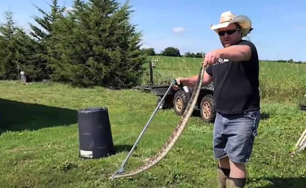 The Iowa County That Has A Rattlesnake Problem [VIDEO]