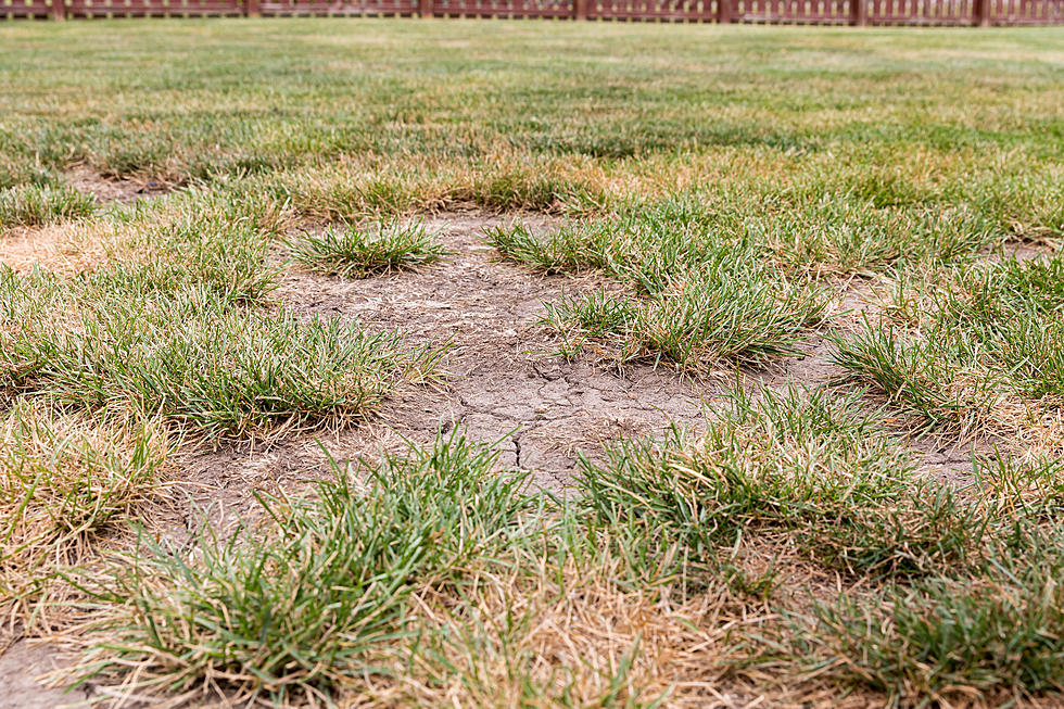 Eastern Iowa Drought Dry Spell About to Reach Unprecendented Level