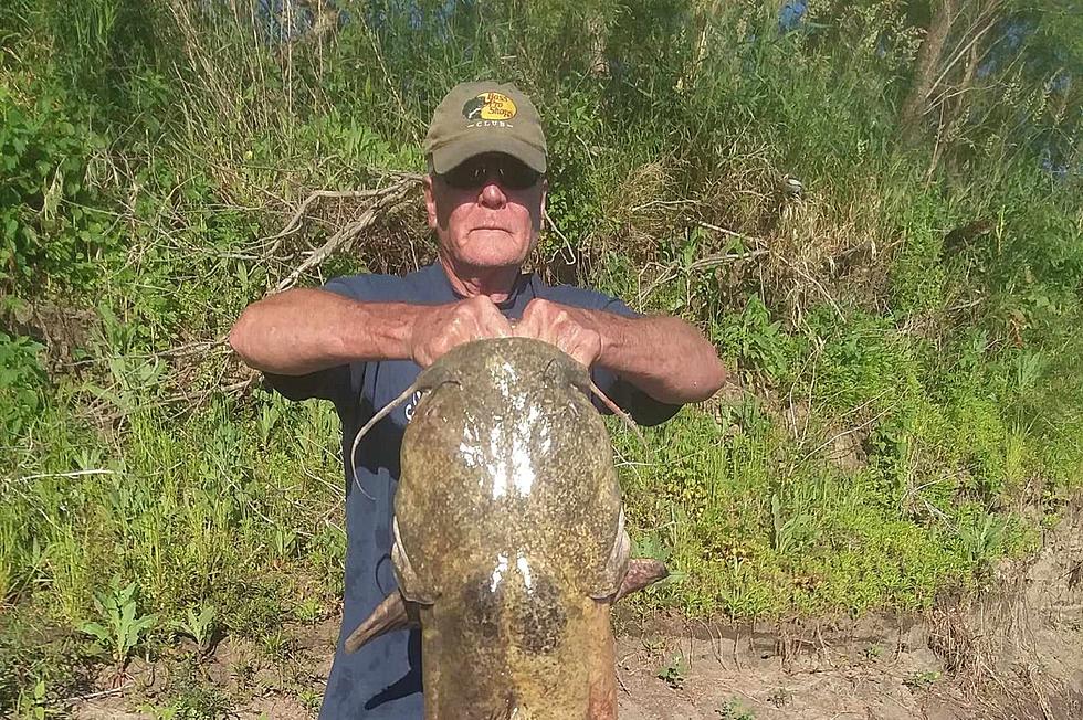Iowa Fisherman Knows Secret to Catching Huge Flathead Catfish