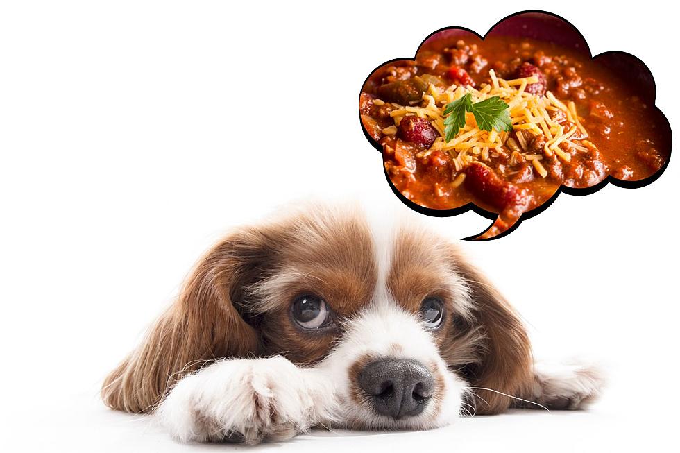 Try 15 Kinds of Chili While Supporting Rescue Pups in Cedar Rapids