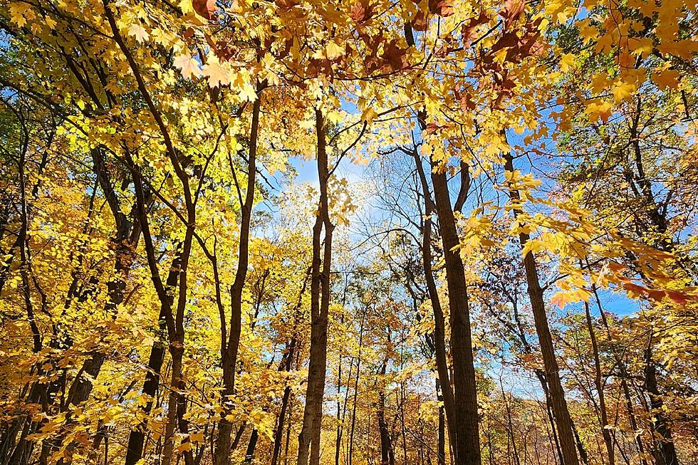 Eastern Iowa Park is Perfect Spot for Fall Color [PHOTOS]