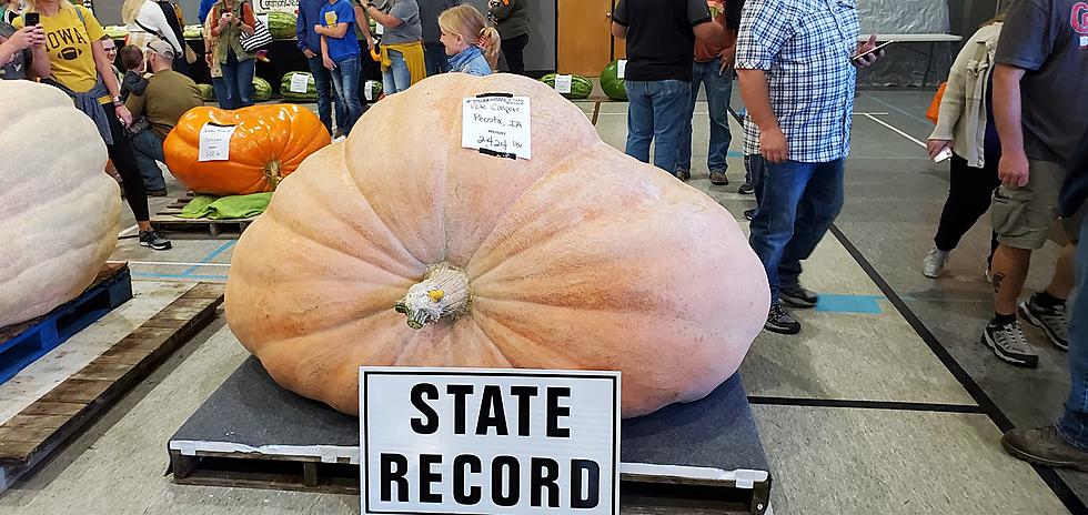 Check Out Enormous Pumpkins This Weekend in Jones County