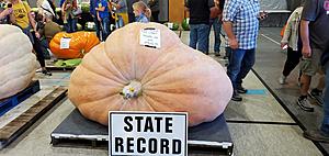 Check Out Enormous Pumpkins This Weekend in Jones County