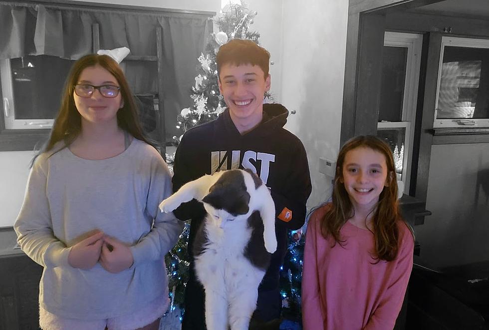 Brain Shares Funny, Awkward Holiday Family Photos
