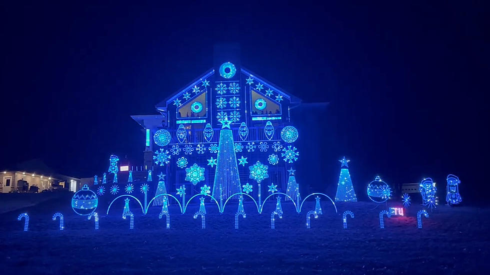 Christmas light shows: 19 top illuminated trails 2023 - Gardens Illustrated