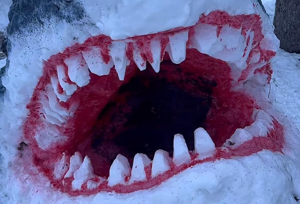 Eastern Iowa Snow Shark Sculpture Takes a Bite Out of Winter