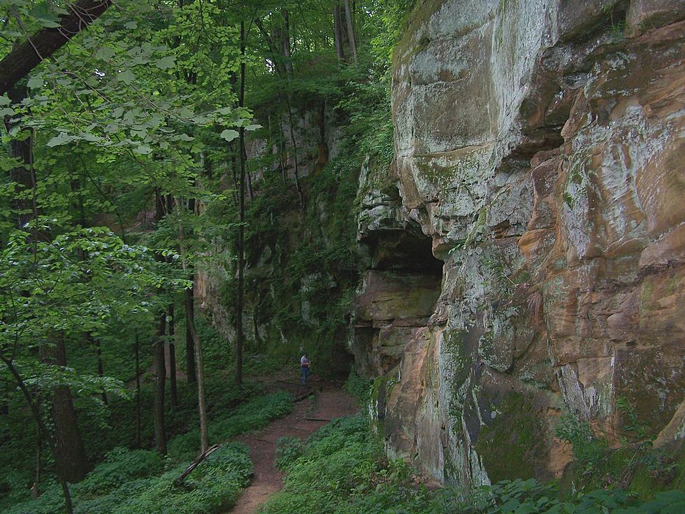 Eastern Iowa State Park Offers the Best Easy & Scenic Hikes