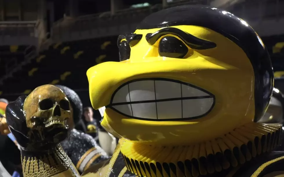 100 New Herky Statues Make Their Debut in Eastern Iowa [VIDEO]